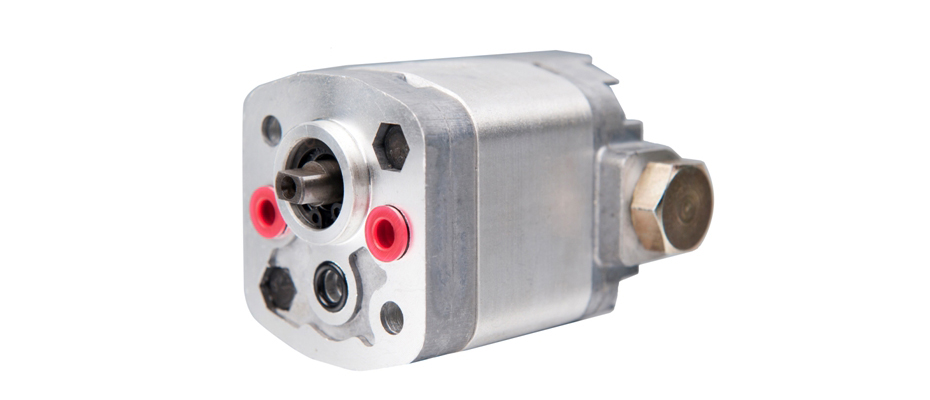 Bidirectional Gear Pumps