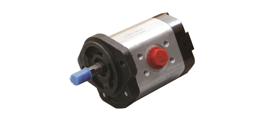 Bidirectional Gear Pumps