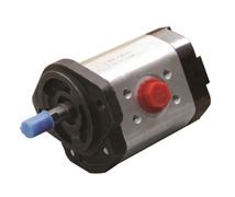 Bidirectional Gear Pumps